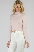 Load image into Gallery viewer, Dayana Knit Crop - Blush

